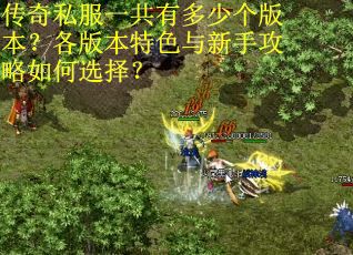 传奇私服一共有多少个版本？各版本特色与新手攻略如何选择？