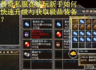 传奇私服在线玩新手如何快速升级与获取极品装备？