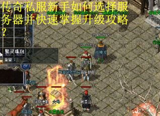 传奇私服新手如何选择服务器并快速掌握升级攻略? 传奇私服新手如何选择服务器并快速掌握升级攻略?