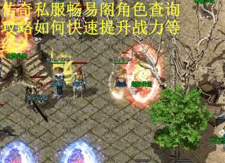 传奇私服畅易阁角色查询攻略如何快速提升战力等级? 传奇私服畅易阁角色查询攻略如何快速提升战力等级?
