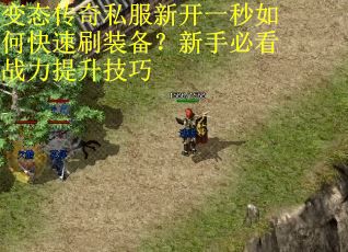 变态传奇私服新开一秒如何快速刷装备?新手必看战力提升技巧 变态传奇私服新开一秒如何快速刷装备?新手必看战力提升技巧