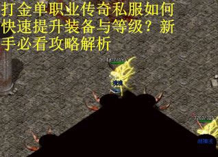 打金单职业传奇私服如何快速提升装备与等级？新手必看攻略解析
