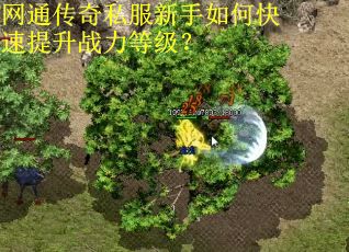 网通传奇私服新手如何快速提升战力等级? 网通传奇私服新手如何快速提升战力等级?