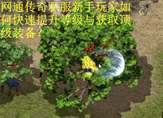 网通传奇私服新手玩家如何快速提升等级与获取顶级装备? 网通传奇私服新手玩家如何快速提升等级与获取顶级装备?