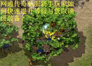 网通传奇私服新手玩家如何快速提升等级与获取顶级装备? 网通传奇私服新手玩家如何快速提升等级与获取顶级装备?