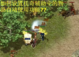 如何设置传奇辅助中的物品自动使用功能??