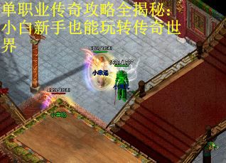 单职业传奇攻略全揭秘：小白新手也能玩转传奇世界