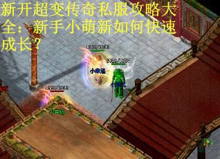 新开超变传奇私服攻略大全：新手小萌新如何快速成长？