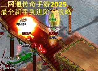 三网通传奇手游2025最全新手到进阶全攻略