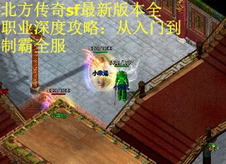 北方传奇sf最新版本全职业深度攻略：从入门到制霸全服