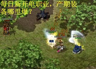 每日新开单职业，产期装备哪里爆？