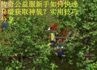 传奇公益服新手如何快速升级获取神装？实用技巧分享