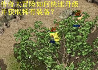 传奇大冒险如何快速升级并获取稀有装备？