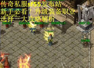传奇私服sf55发布站新手必看？升级装备职业选择三大攻略解析