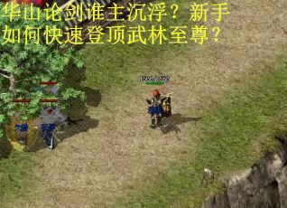 华山论剑谁主沉浮?新手如何快速登顶武林至尊? 华山论剑谁主沉浮?新手如何快速登顶武林至尊?