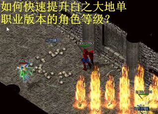 如何快速提升白之大地单职业版本的角色等级？