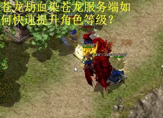 苍龙劫血染苍龙服务端如何快速提升角色等级？
