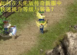 如何在天佑版传奇新服中快速提升等级与装备？
