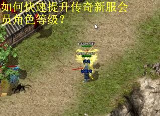 如何快速提升传奇新服会员角色等级？